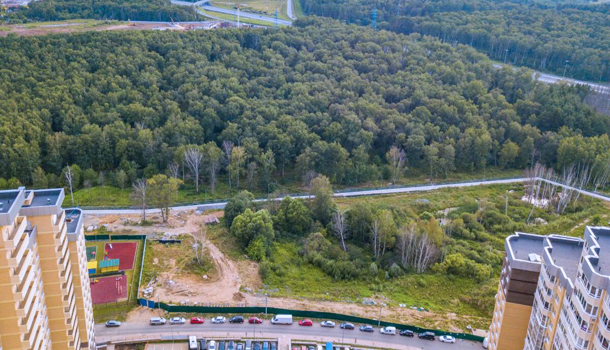 Яндекс картинки