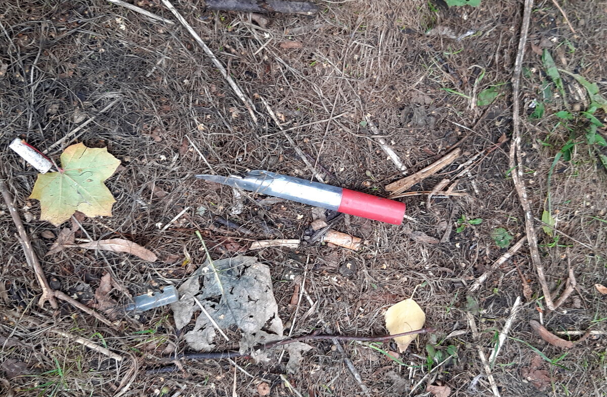 Валяющийся в Орехово градусник. Кого-то температура, наверно, не устроила. 