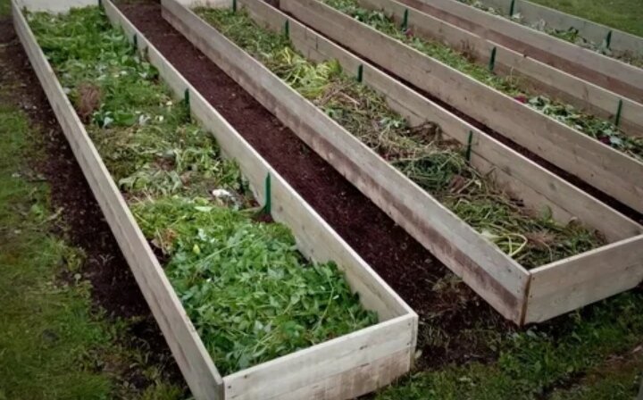 Один из вариантов тёплой грядки
