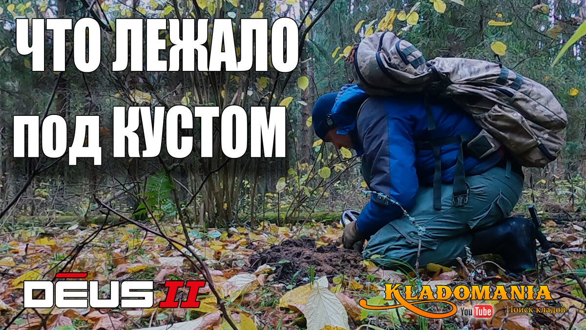 В лес за МОНЕТАМИ. Что лежало под КУСТОМ. КЛАДОМАНИЯ