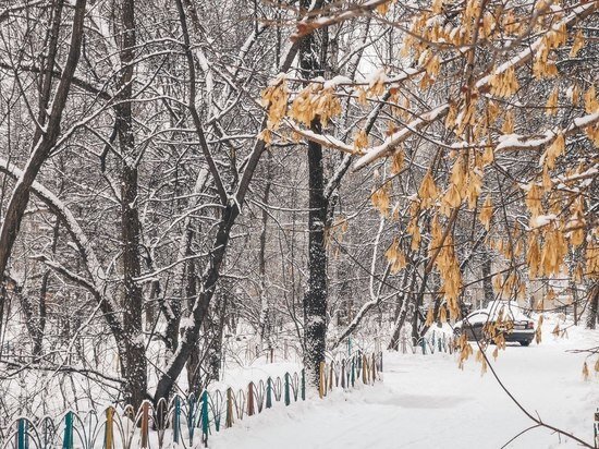     Озвучен прогноз погоды в Хабаровске на 14 января / Ольга Григорьева