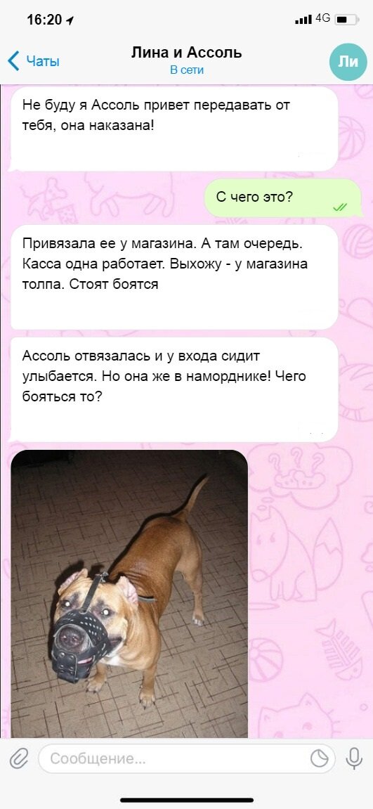 Посмеялся сам - поделись с другом!!!