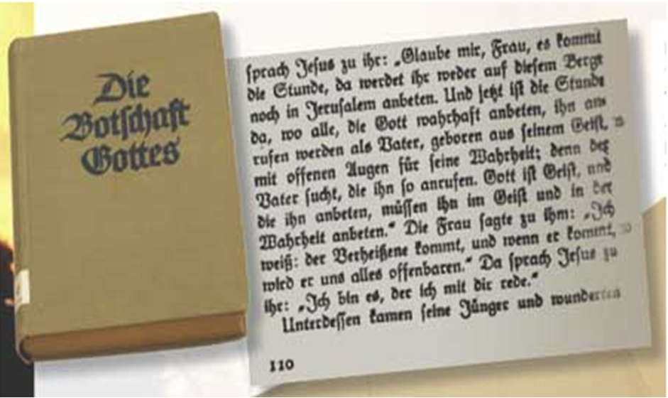 Так называемая Библия нацистов. Источник фото Traditio.wiki