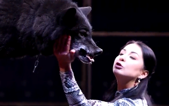  Евгения Верлатая