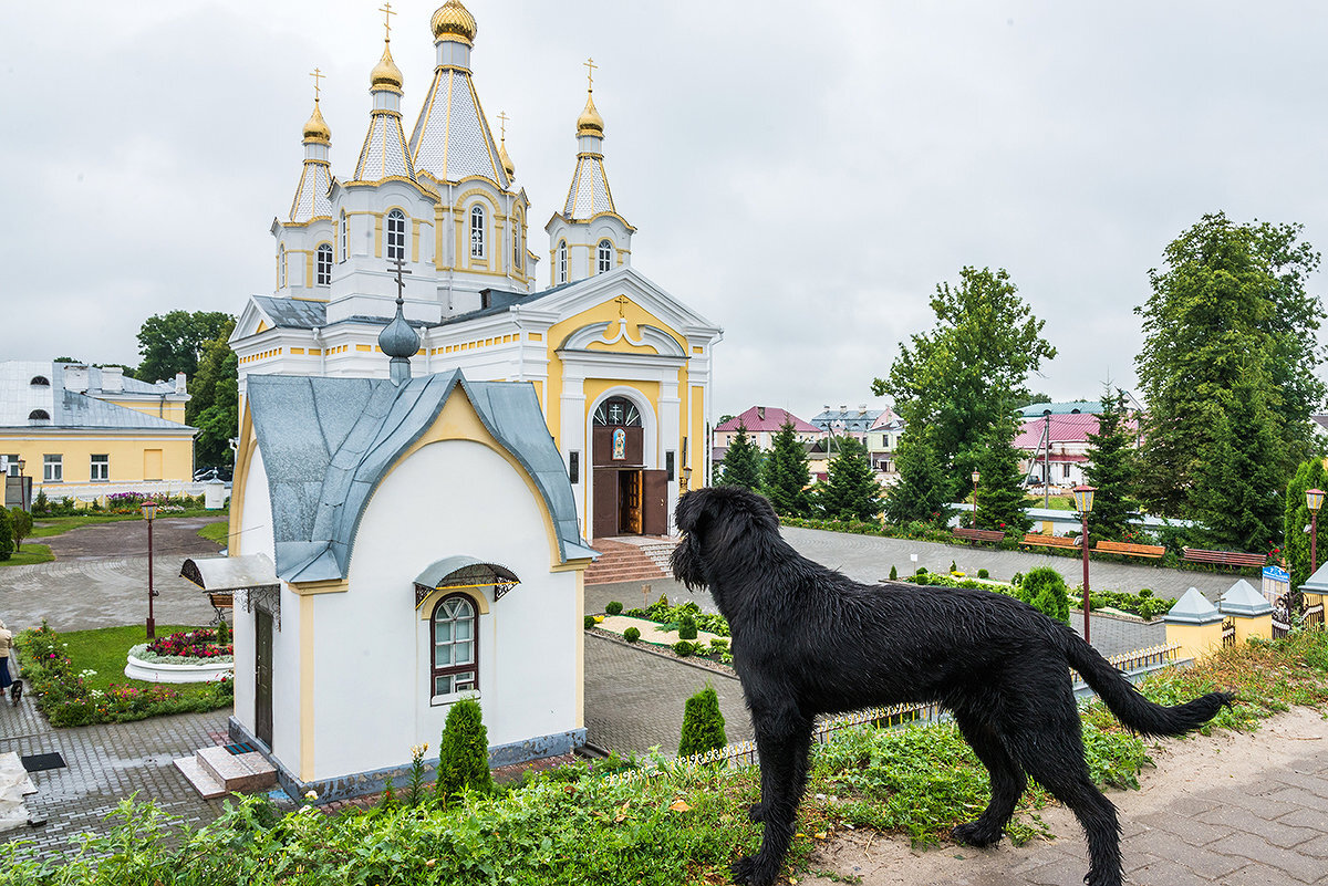 Фото: http://fotokto.ru/photo/view/1447949.html