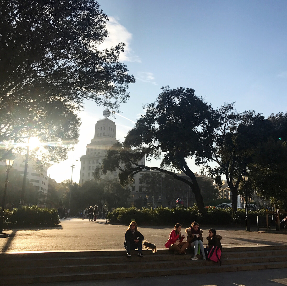 Фото сделано мной в Барселоне. У собаки есть хозяин. Уж не знаю, как во всей Испании, но в Барселоне и Мадриде я не встречала бездомных животных,это факт.