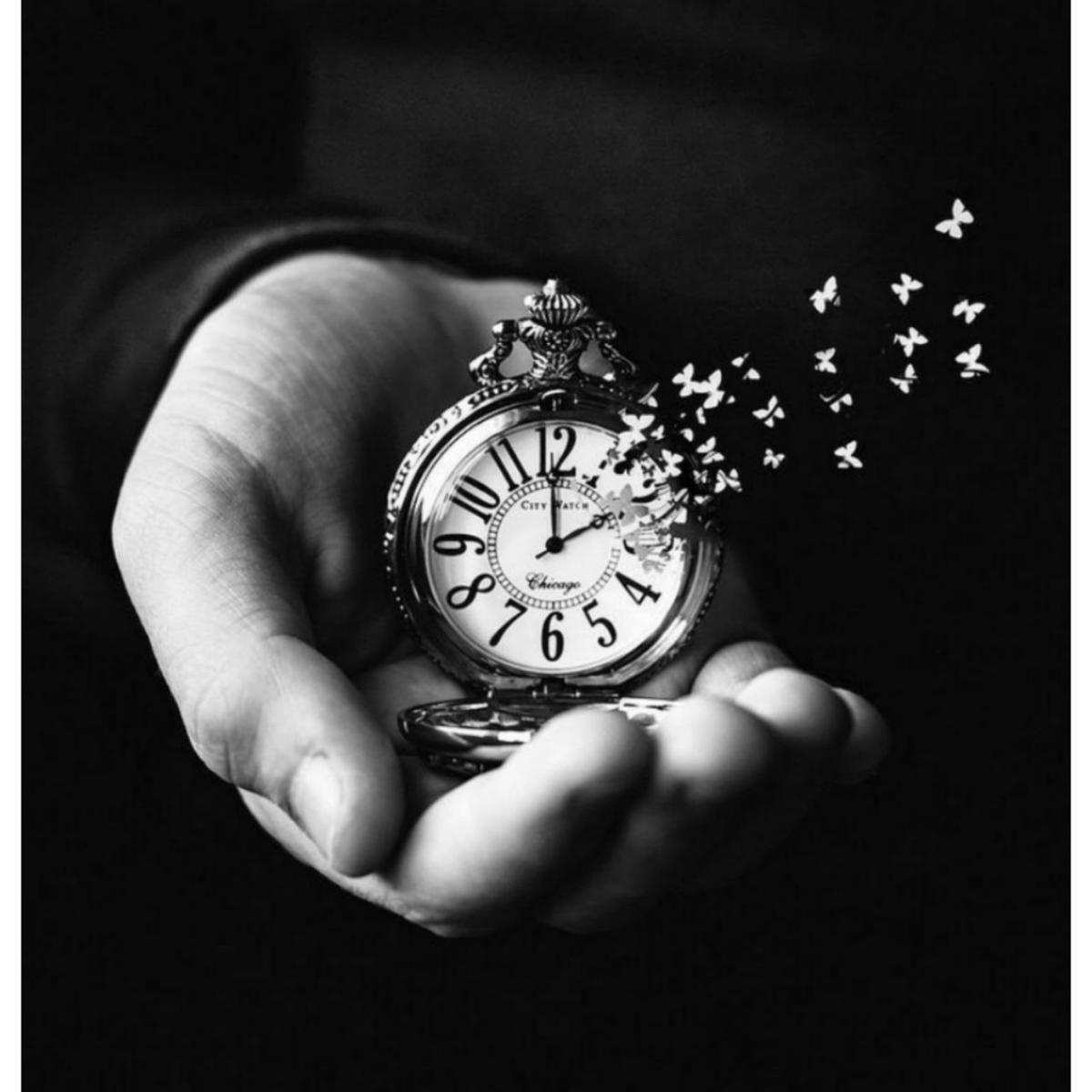 Добавьте описание