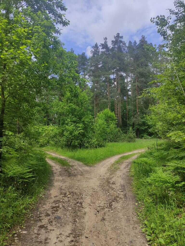 Вот по таким дорогам я бежал. 30 фото