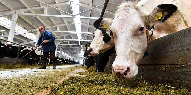 Фото: Виктор Драчев / ТАСС 