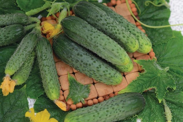 Огурцы «Изумрудная россыпь F1»