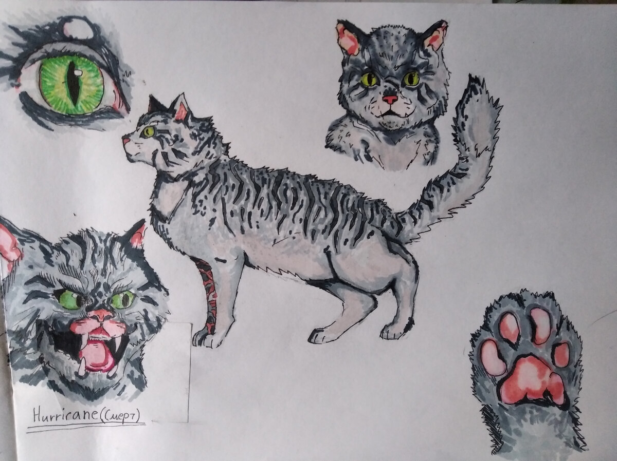 уголок моего творчества, референс моего нового основного персонажа Смерча