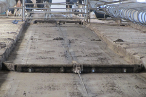 Трос в работе.