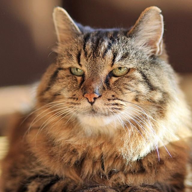 Фото с eva.ru для примера