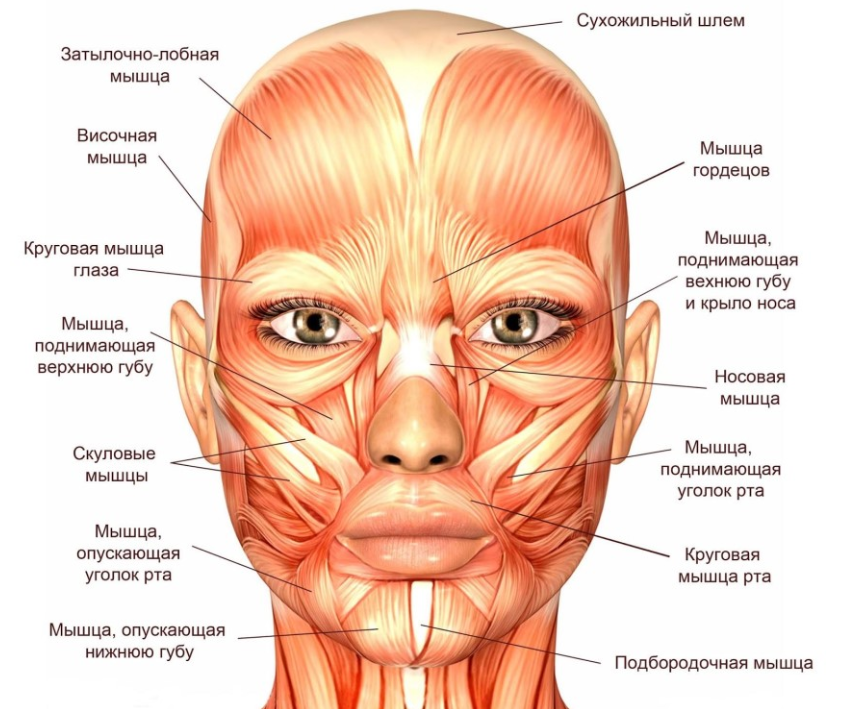 Лазерная эпиляция лица