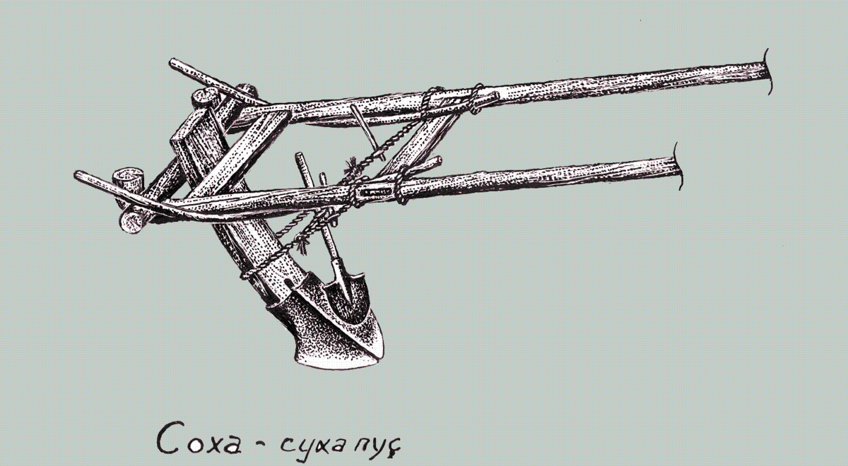 Фото из открытых источников.