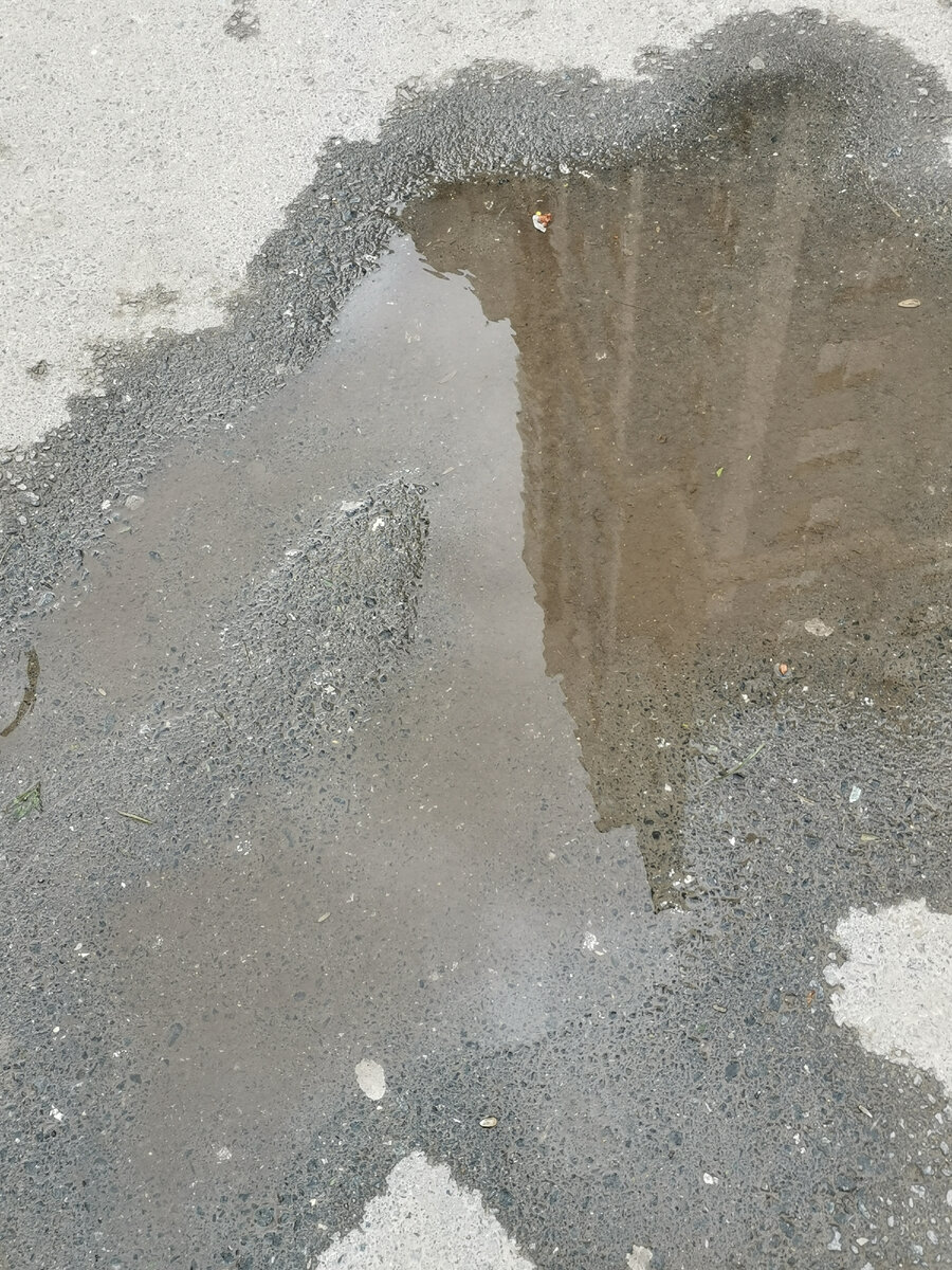 Интересное фото, согласны