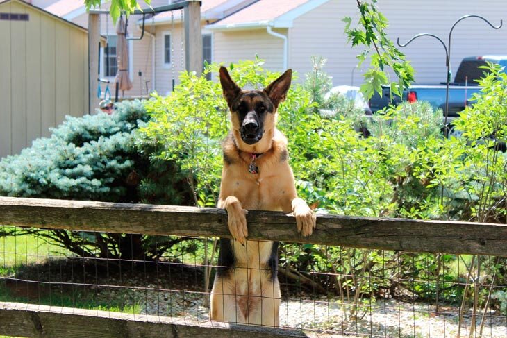 Впервые опубликовано: 20.09.2020Фото: Pixabay.com