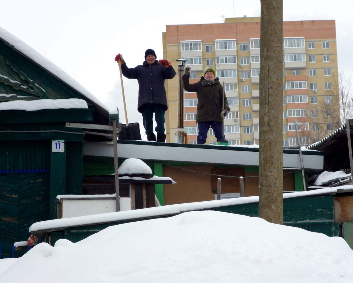 Наш зимний домик и... мои соседи. (Фото автора).