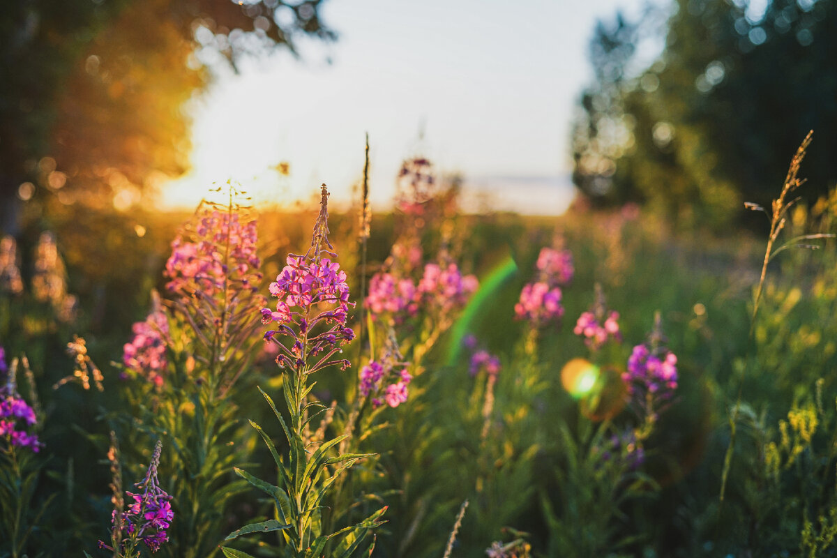 Фото Владимира Блохина