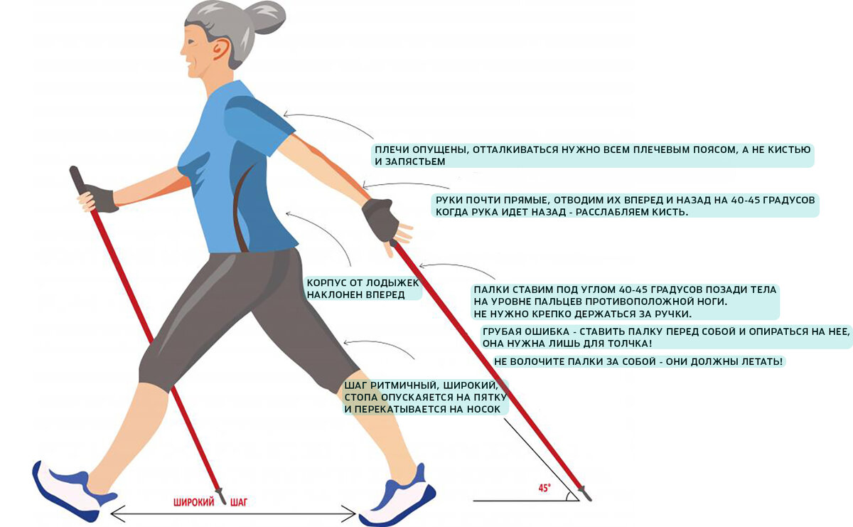 Ходьба как лекарство в санатории 9. Палки для скандинавской ходьбы. Правильная ходьба. Правильная походка. Как правильно ходить.