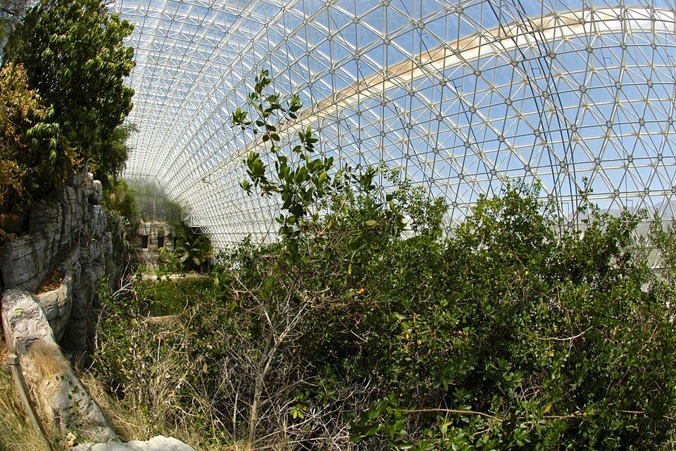     По идее Биосфера-2 должна быть полностью самодостаточной: растения самостоятельно вырабатывают кислород и поглощают углекислый газ, поддерживая состав земной атмосферы  EAST NEWS