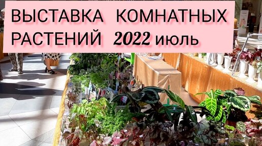 Киа производят в