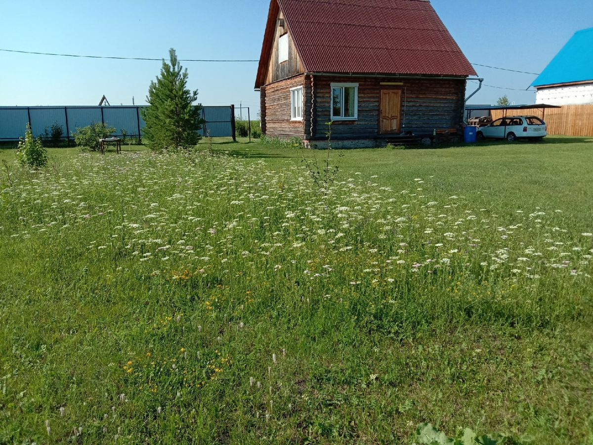 На переднем плане поляна с цветами. а дальше ровная лужайка
