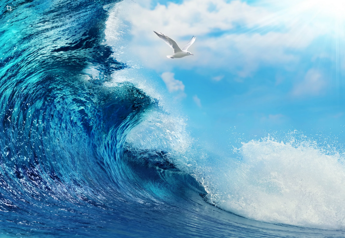 Яндекс картинки