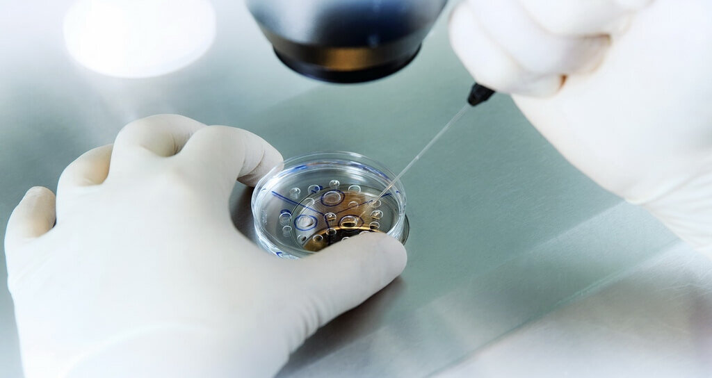 Фото: https://avatars.mds.yandex.net/i?id=e96e2c1ac29a9d1d88c60b7802c638b5-4969143-images-thumbs&n=13