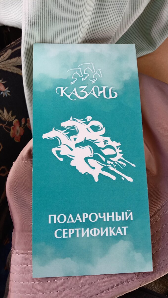 Катание на лошадях в Казани 