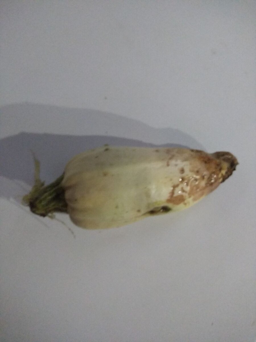 ����������� �����