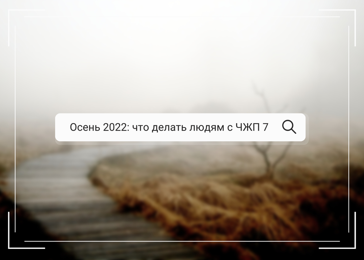 Советы на осень 2022