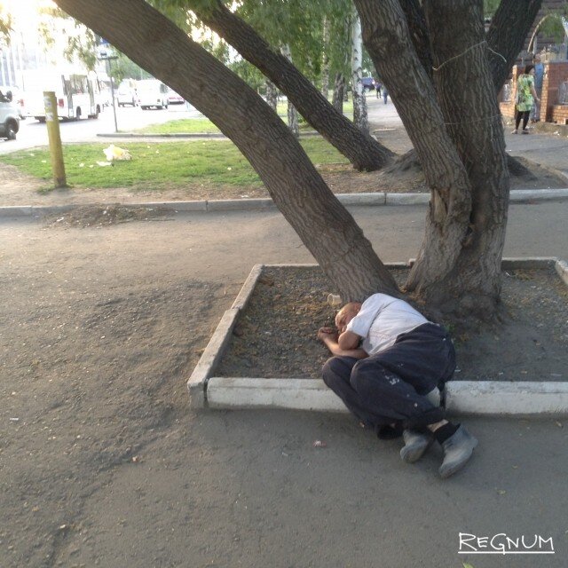    Алкоголизм. Последствия Светлана Шаповалова © ИА REGNUM