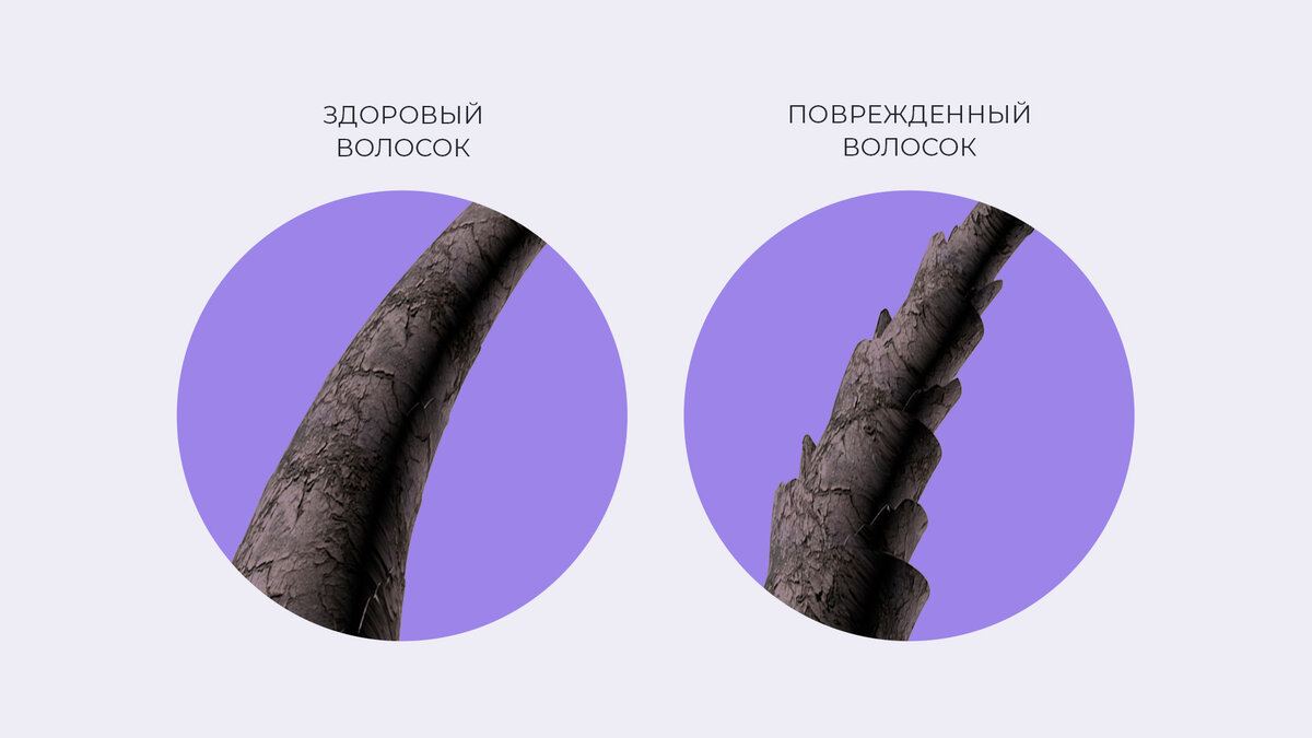 Структура поврежденного и здорового волоска
