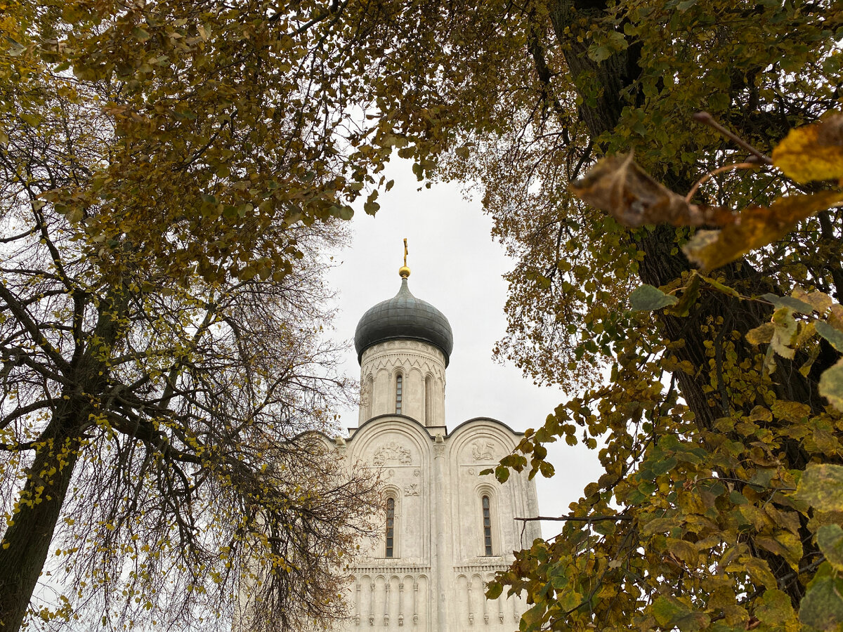 4 пивовара»: главный крафтовый паб Владимира | Вечерний Лошманов | Дзен