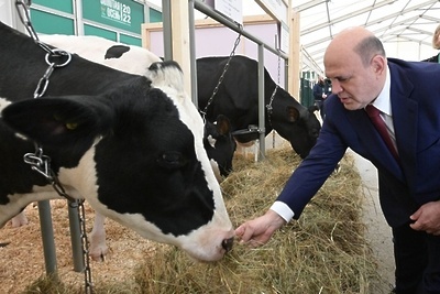    Премьер-министр России Михаил Мишустин осмотрел павильон «Животноводство» на выставке «Золотая осень – 2022» в Подмосковье. ©Сайт Правительства РФ