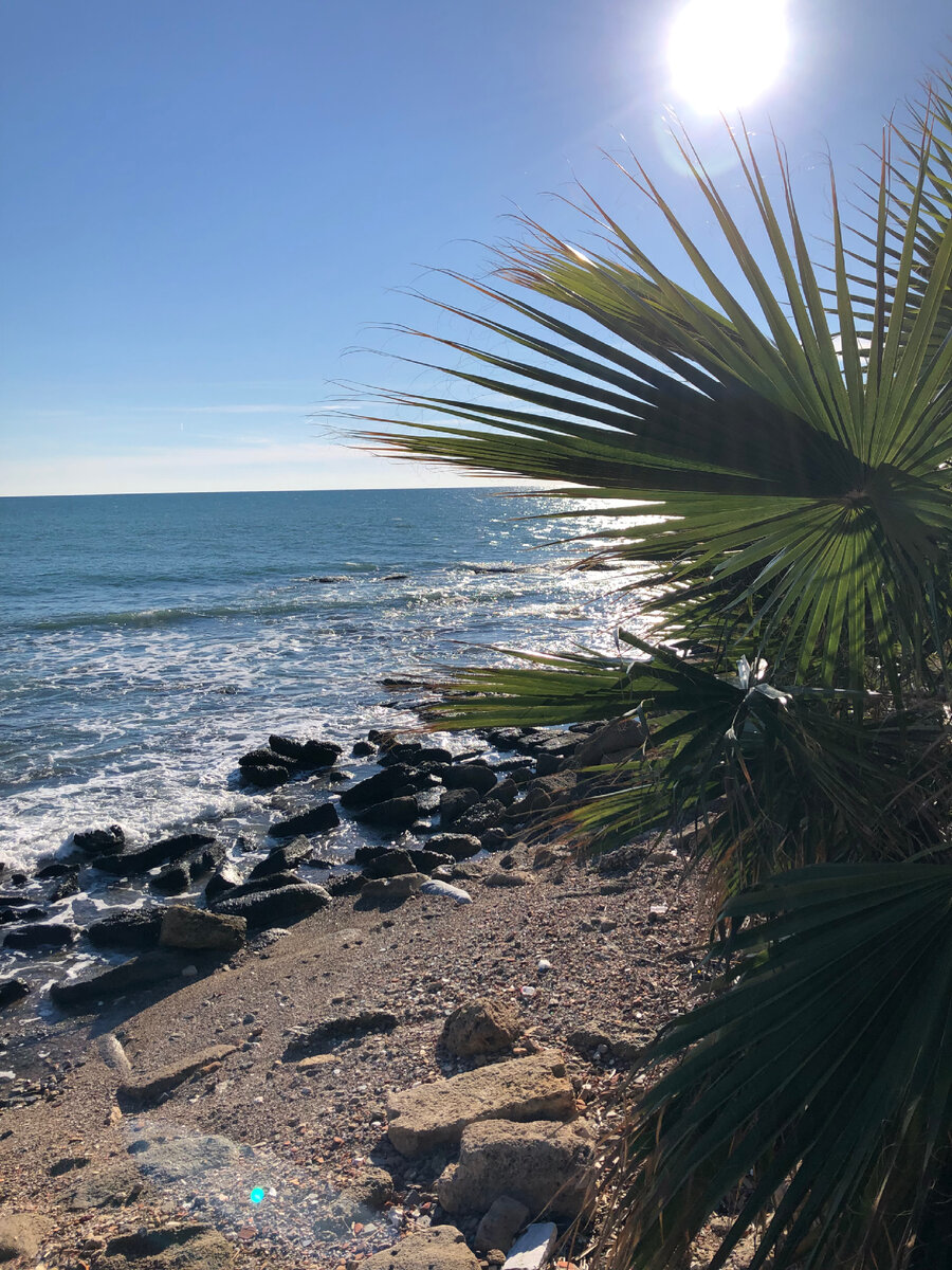 Сиде, Манавгат. Ноябрь 2022 