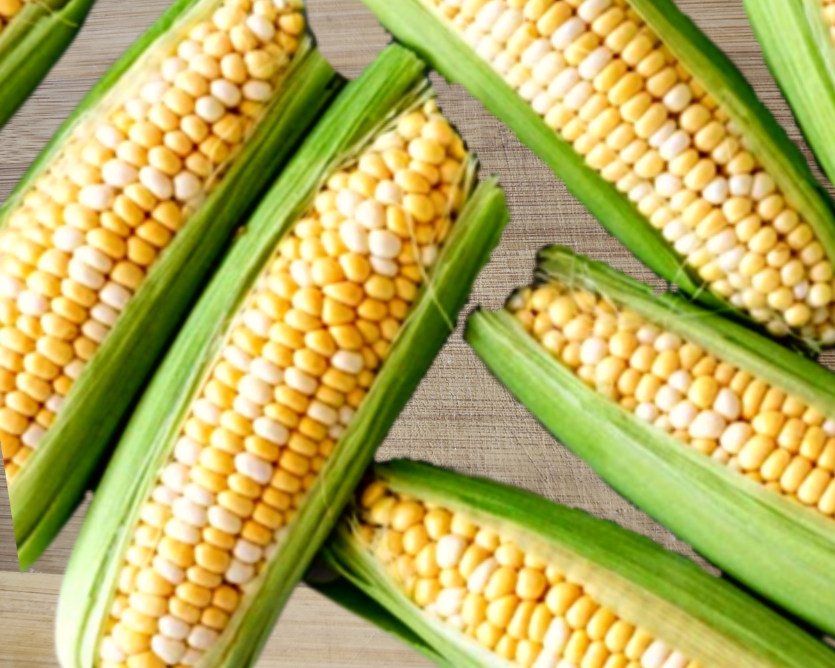 как готовить кукурузу в початках