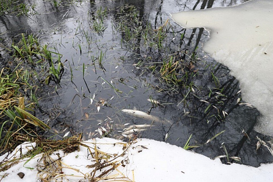     После штрафа в 43 млн рублей Усманский водоканал построил новые очистные  Сайт Центрально-Черноземного управления Росприроднадзора