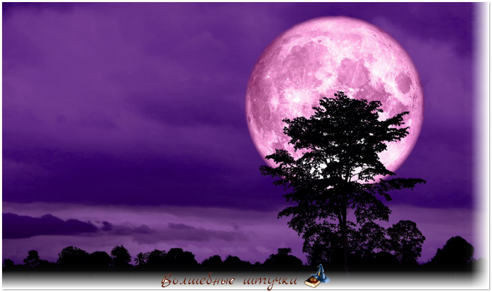 Картинка из интернета