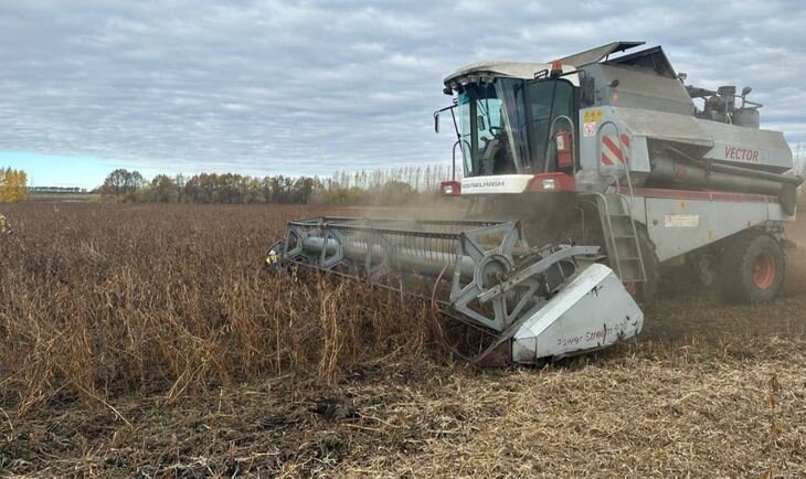    Чувашия ожидает исторического рекорда по урожаю масличных в сезоне 2022