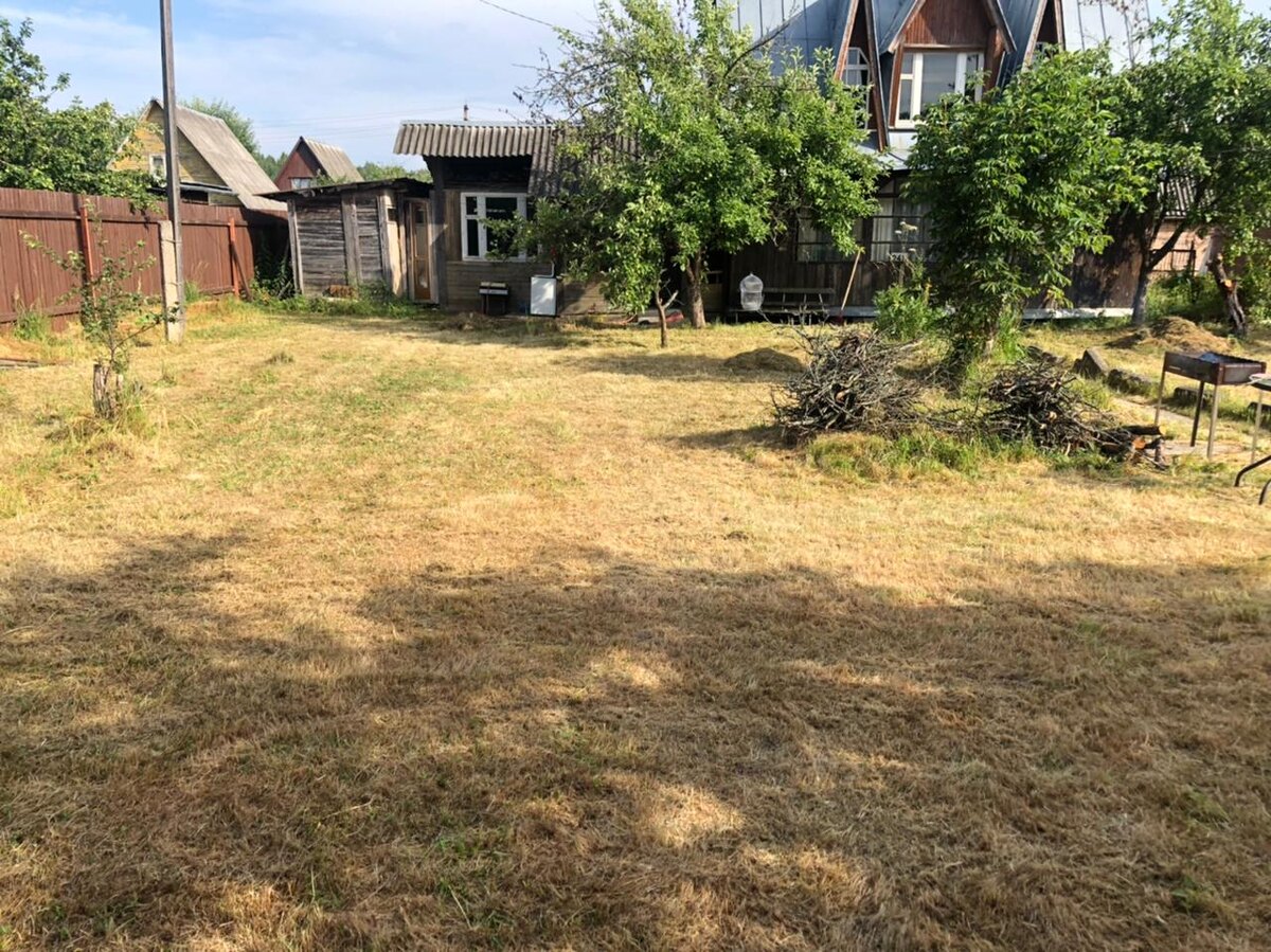 Трава на весь сезон оставалась такой