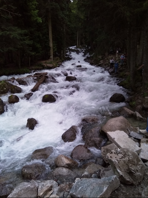 Сразу вспомнился Федор Иванович Тютчев: С горы бежит поток проворный))