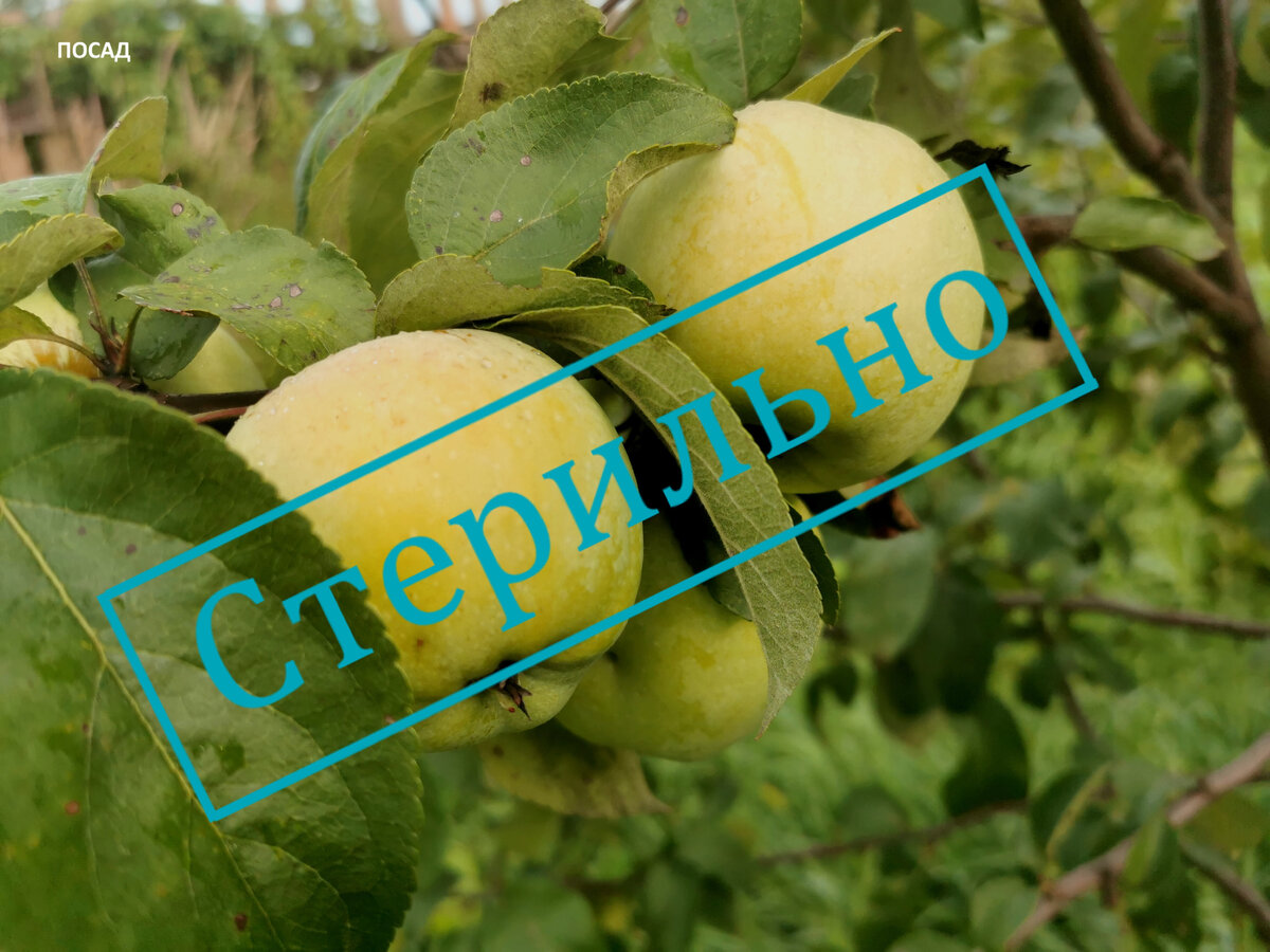 Так не бывает.