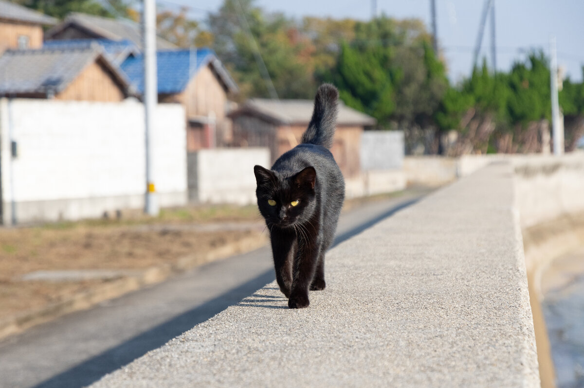 Фотография из открытых источников