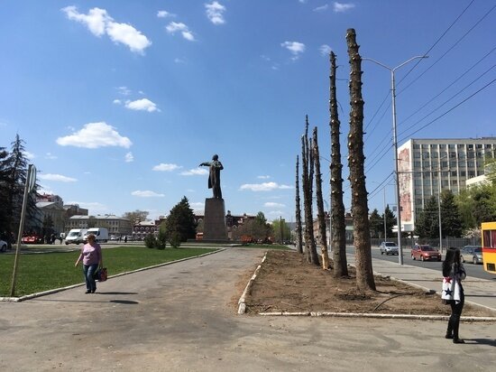     Спиленные деревья на улице Московской. Фото: Сергей Климушев