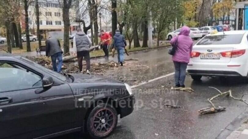     В Ставропольском крае усилившийся в понедельник, 31 октября, ветер начал срывать с места деревья, сообщают местные жители в соцсетях.