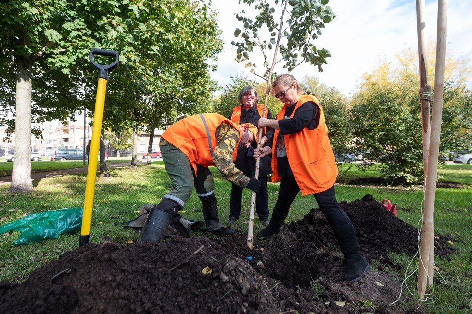     В общегородском субботнике приняли участие более 200 тысяч петербуржцев  ПЫХАЛОВА Юлия (архив)