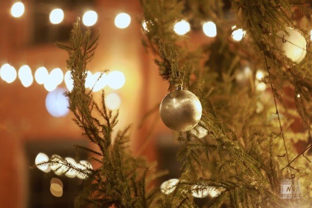    Новогодняя ель на территории пространства Севкабель Дарья Драй © ИА REGNUM