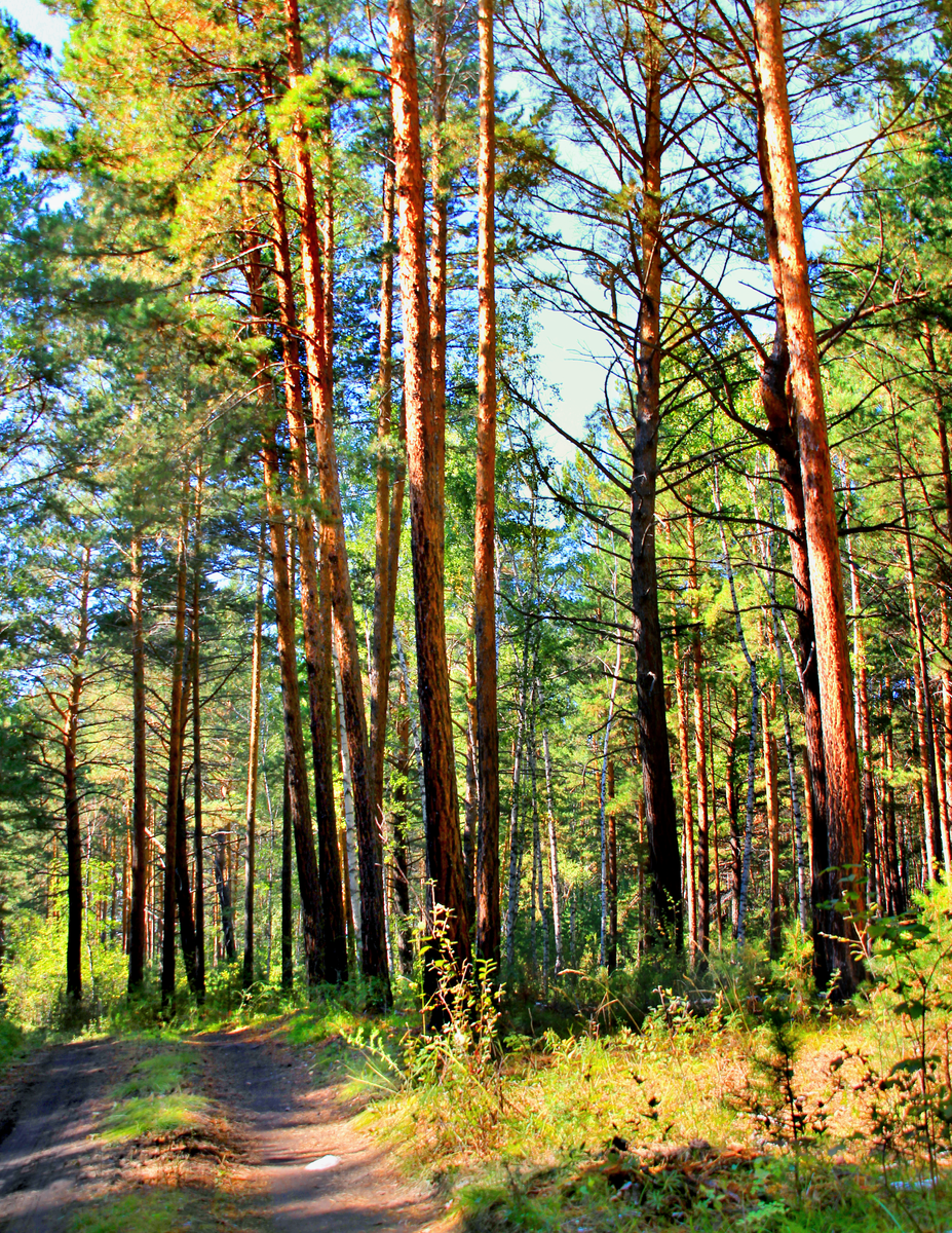 Фотография, стихотворение Василия Глуцкого